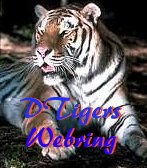 DTigers WebRing